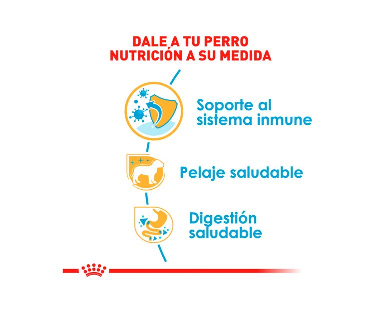 Royal-Canin-Yorkshire-Terrier-Puppy-03