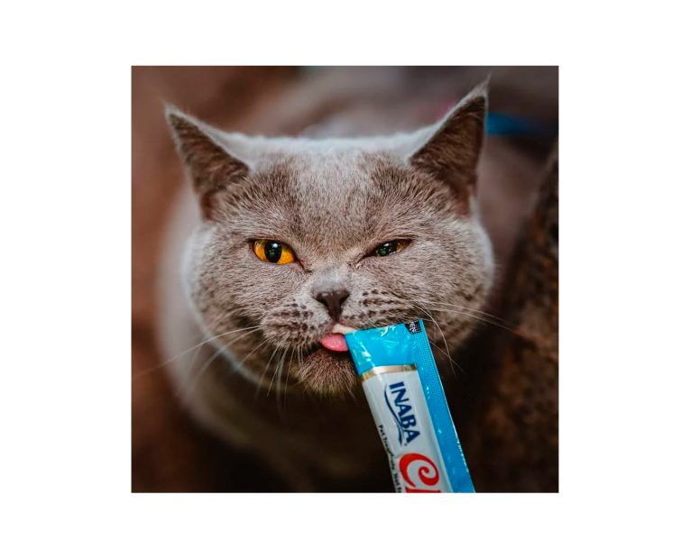 Churu-Pote-Atun-Variedades-02