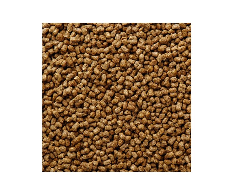 Mazuri-Hedgehog-Diet-03