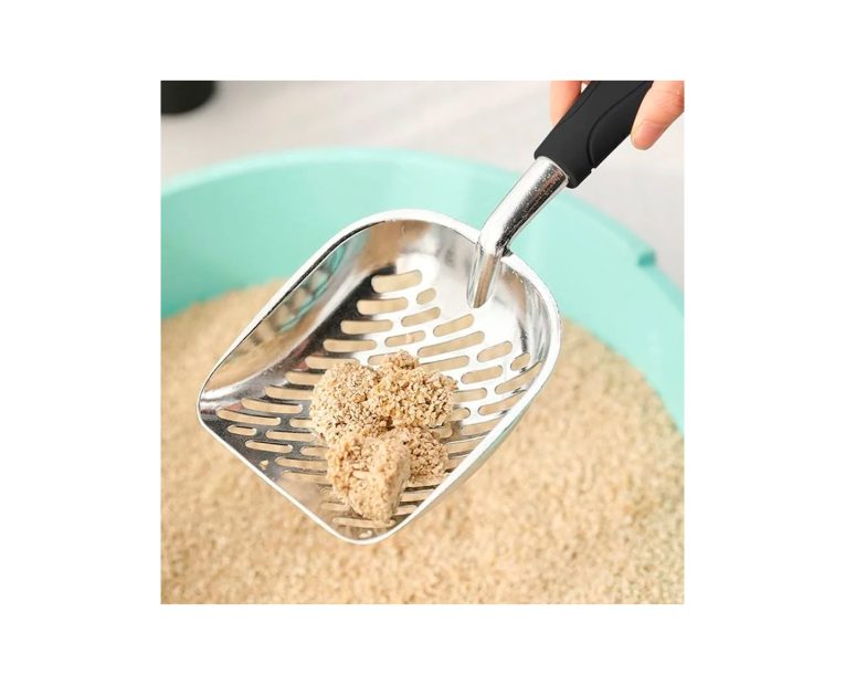 Two-Brothers-Pala-Sanitaria-The-Poop-Scoop-03