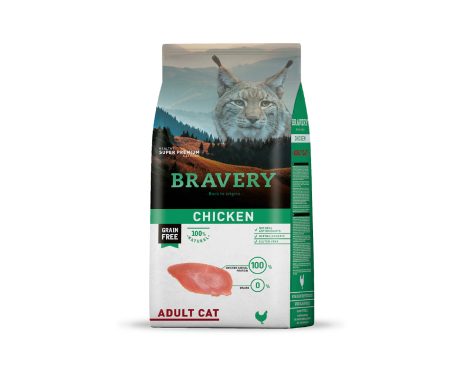 Bravery Chicken Adult Cat