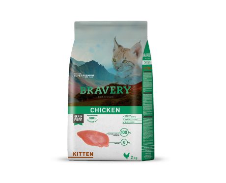 Bravery Chicken Kitten