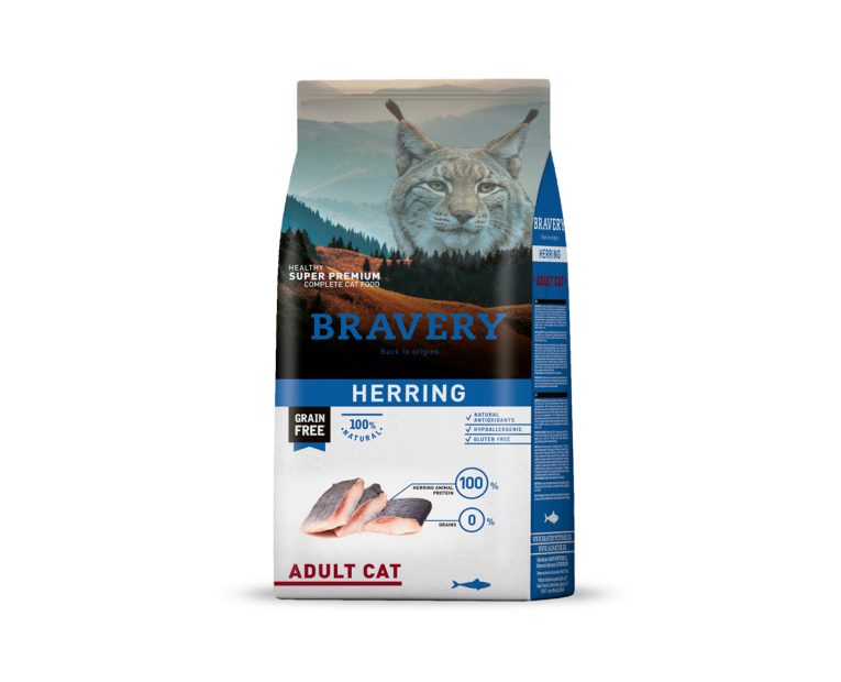 Bravery-Herring-Adult-Cat-01