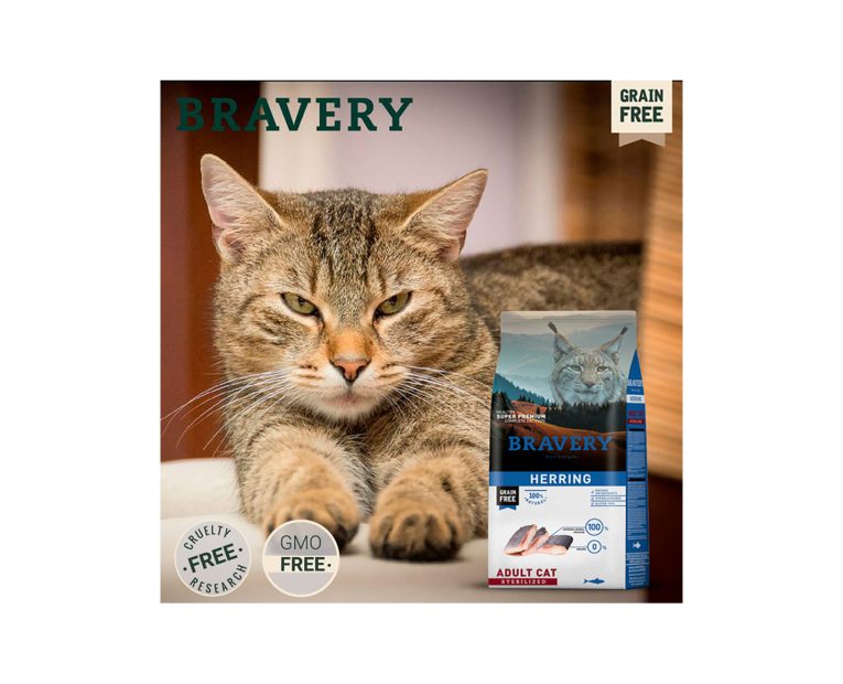 Bravery-Herring-Adult-Cat-Sterilized-02