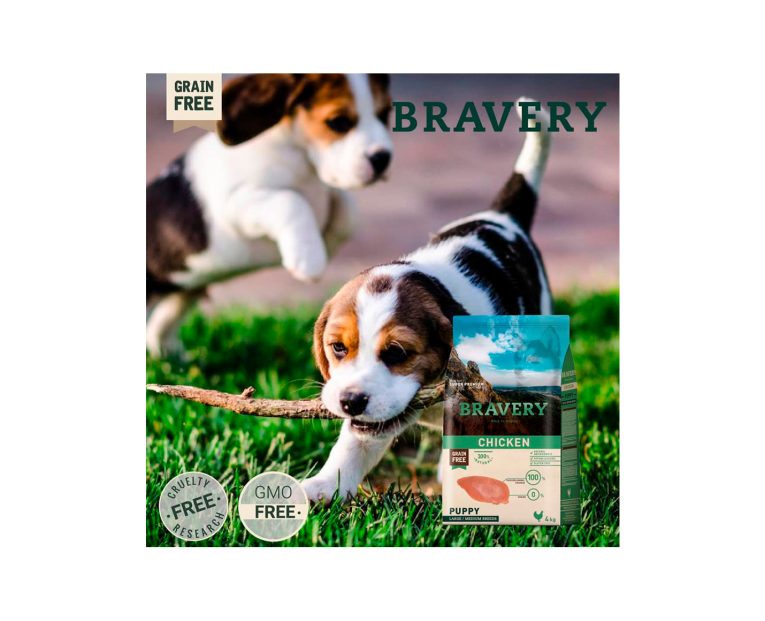 Bravery-Large-Medium-Breed-Puppy-Chicken-02