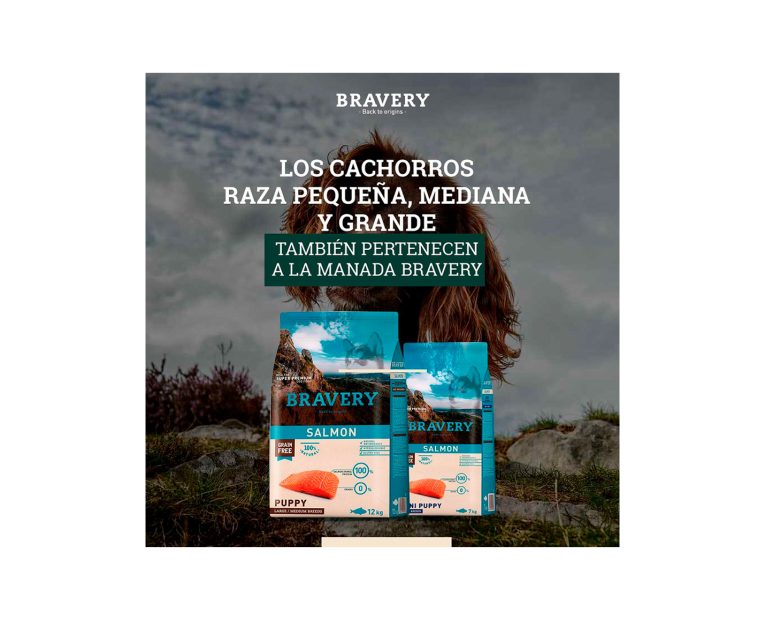 Bravery-Large-Medium-Breed-Puppy-Salmon-02