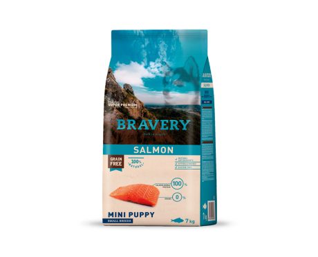 Bravery Mini Puppy Small Breed Salmón