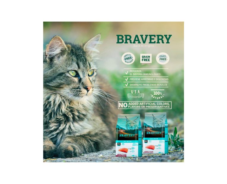Bravery-Salmon-Adult-Cat-02