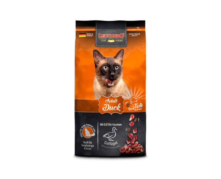 Leonardo-Adulto-Duck-03