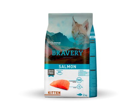 Bravery Salmon Kitten