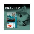 Bravery-Salmon-Kitten-02