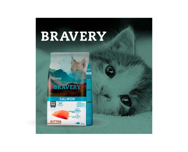 Bravery-Salmon-Kitten-02