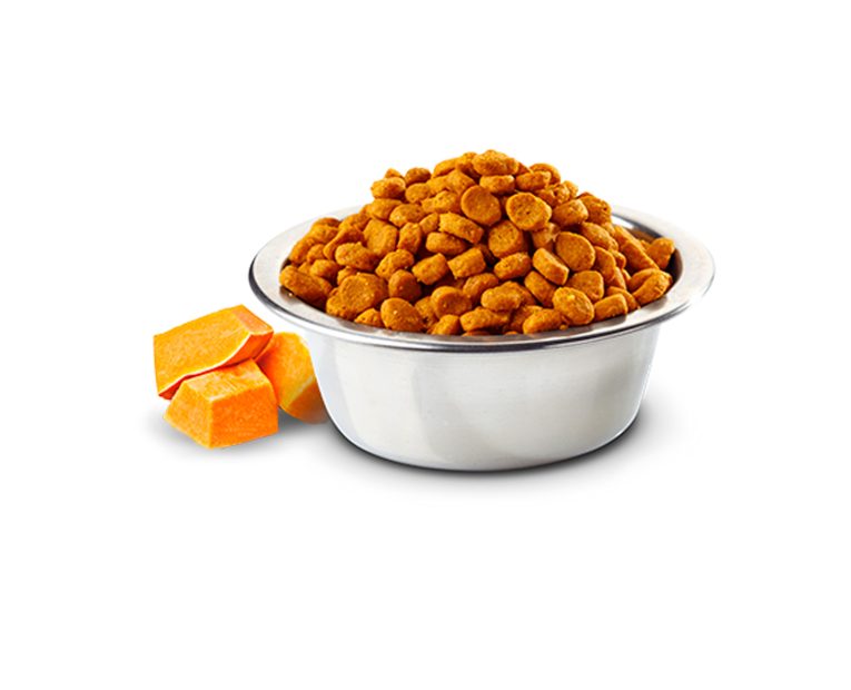 N&d-Gato-Adulto-Salmon-Calabaza-Naranja-02