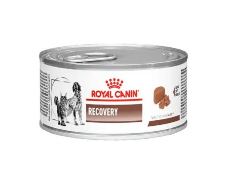 Royal Canin Lata Recovery Canino/Felino