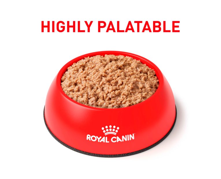 Royal-Canin-Lata-Urinary-s-o-Felino-02