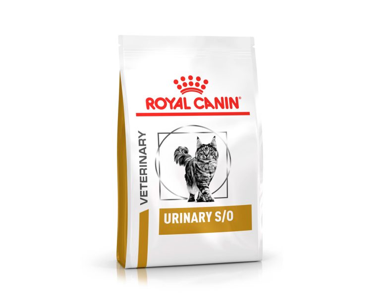 Royal-Canin-s-o-Felino-01