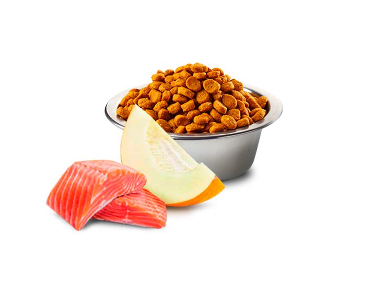 N&d-Ocean-Canine-Adulto-Mini-Breed-Salmon-Melon-02