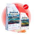 Poema-Gato-Castrado-Control-de-Peso-02