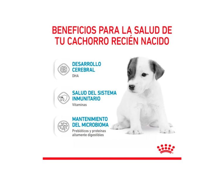 Royal-Canin-Baby-Dog-Milk-02