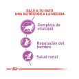 Royal-Canin-Gato-Esterilizado-02