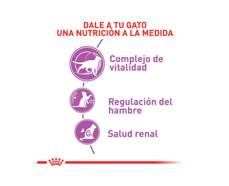 Royal-Canin-Gato-Esterilizado-02