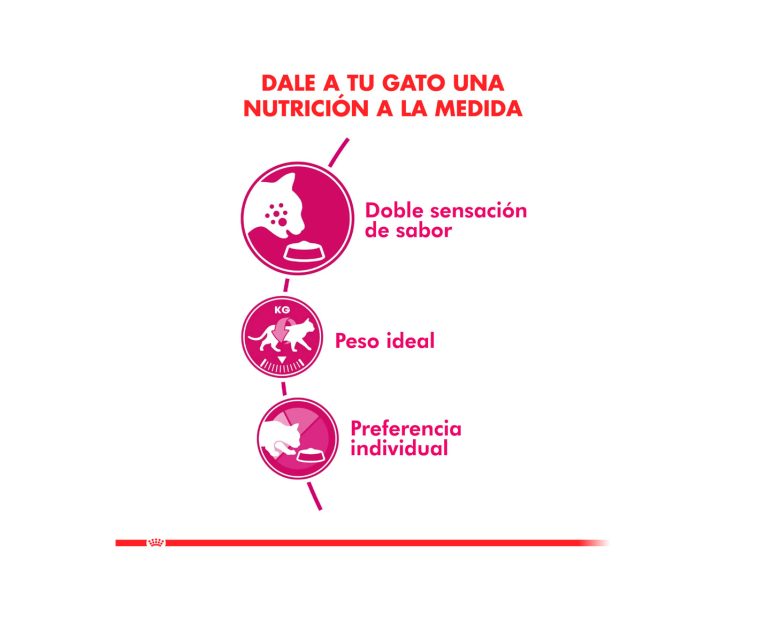 Royal-Canin-Gato-Exigent-02