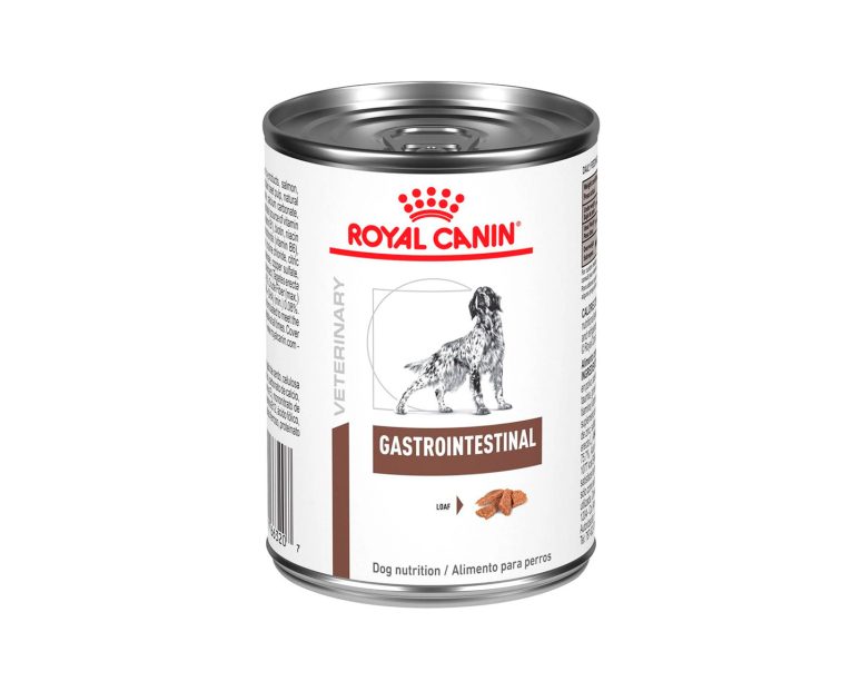 Royal-Canin-Lata-Gastrointestinal-Canino-01