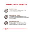 Royal-Canin-Lata-Gastrointestinal-Canino-02