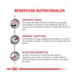 Royal-Canin-Lata-Renal-Feline-02