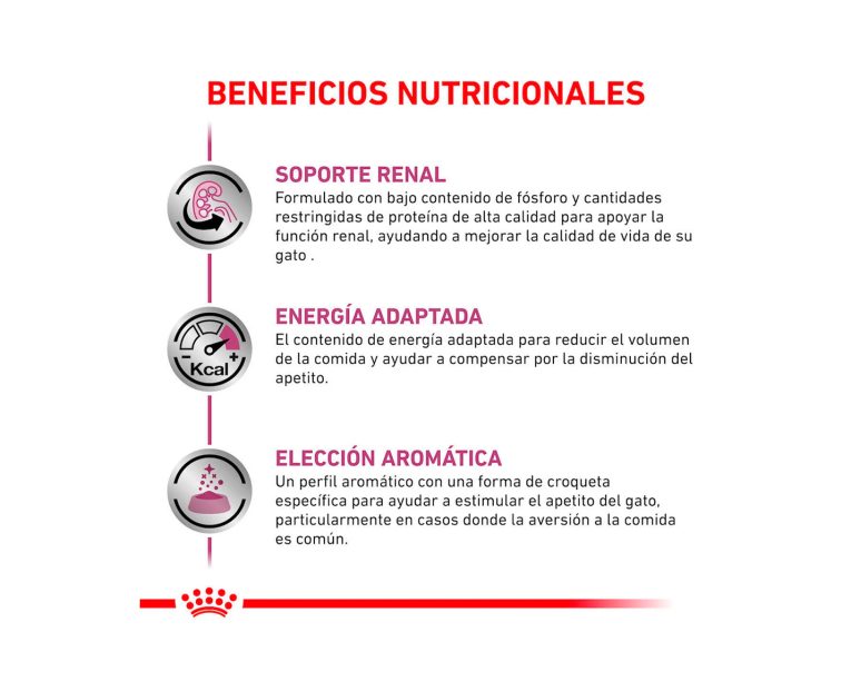 Royal-Canin-Lata-Renal-Feline-02