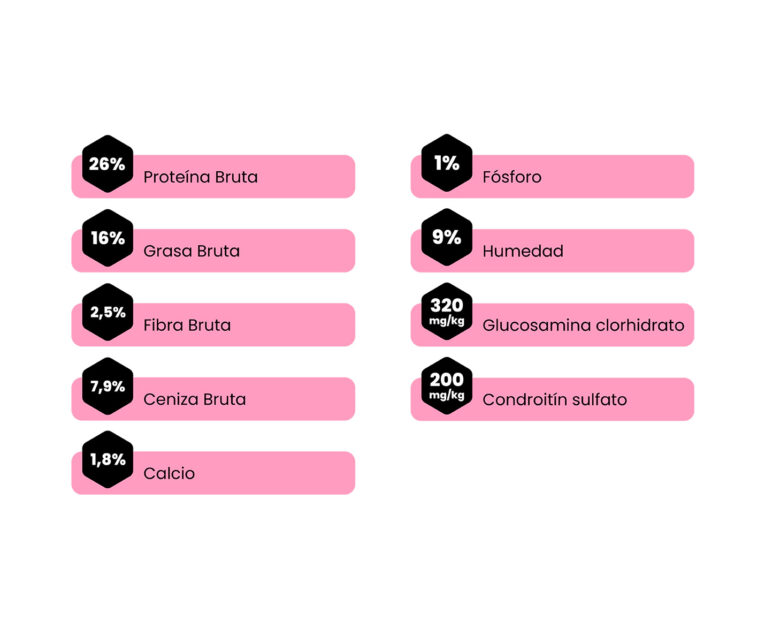 Amity-Super-Premium-Perro-Adulto-Low-Grain-Chicken-02