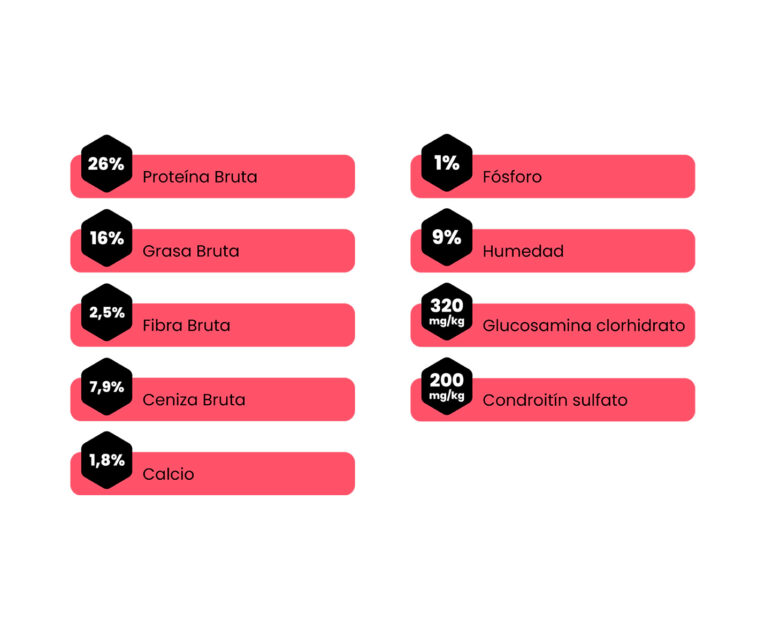 Amity-Super-Premium-Perro-Adulto-Low-Grain-Iberian-Pork-02