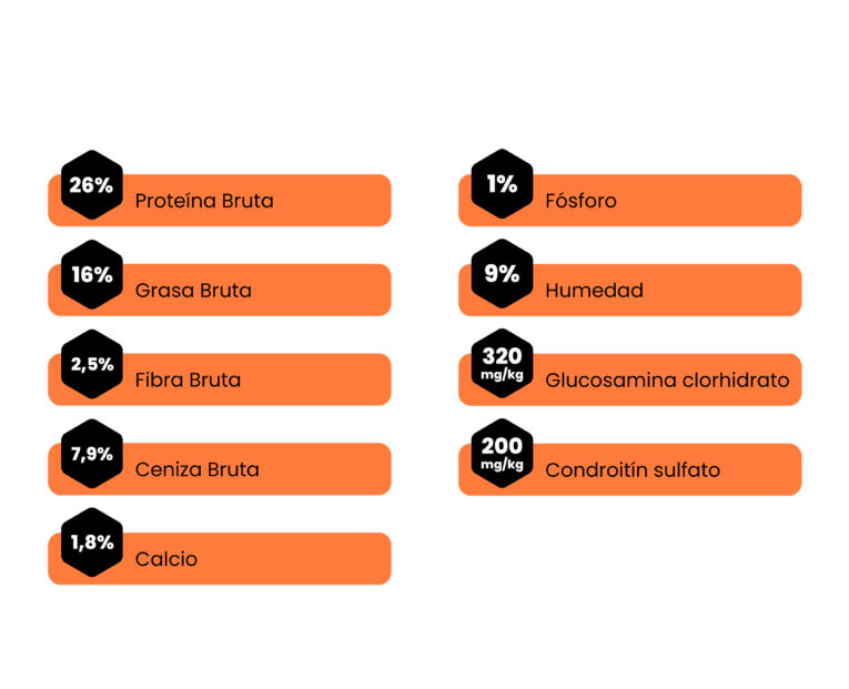 Amity-Super-Premium-Perro-Adulto-Low-Grain-Salmon-02