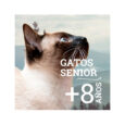 Bravery-Senior-Cat-Herring-02