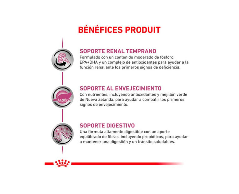 Royal-Canin-Renal-Feline-02