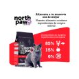 North-Paw-Gato-Langosta-02