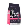 North-Paw-Gato-Todas-Las-Edades-01