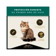 Pro-Plan-Kitten-02
