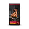 Pro Plan Adulto Complete Raza Grande