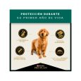 Proplan-Puppy-Complete-Raza-Mediana-02