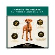 Proplan-Puppy-Raza-Grande-02