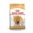 Royal-Canin-Bulldog-Frances-Adulto-01