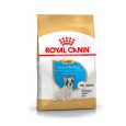 Royal-Canin-Bulldog-Frances-Puppy-01