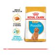 Royal-Canin-Poodle-Puppy-02