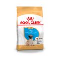 Royal-Canin-Pug-Puppy-01