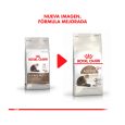 Royal-Canin-Senior-Ageing-02