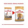 Royal-Canin-Yorkshire-Terrier-Adulto-02