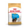Royal Canin Yorkshire Terrier Puppy