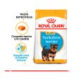 Royal-Canin-Yorkshire-Terrier-Puppy-02