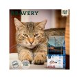 Bravery-Herring-Adult-Cat-Sterilized-02